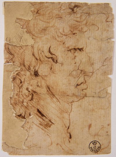 Immagine sconosciuta da Leonardo da Vinci