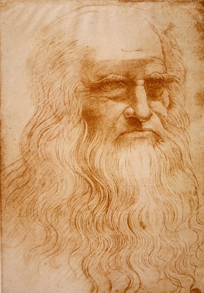 Immagine sconosciuta da Leonardo da Vinci