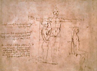 Studi comparativi delle proporzioni da Leonardo da Vinci