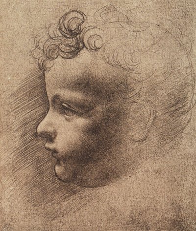 Testa di un bambino piccolo da Leonardo da school of Vinci