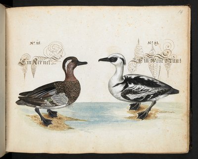 Add MS 6485 da Leonhard Baldner