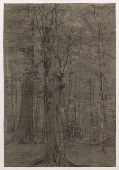 Alberi da Leopold Bode