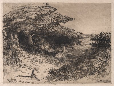Quissett, contea di Barnstable, Massachusetts, 1879 da Leroy Milton Yale