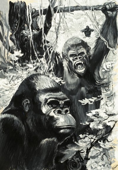 I gorilla da Leslie Field Evans