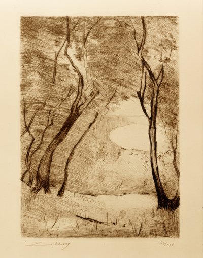 Alberi sulla riva del Grunewaldsee da Lesser Ury