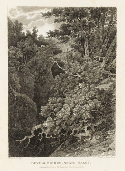 Ponte del Diavolo, Galles del Nord da Letitia Byrne