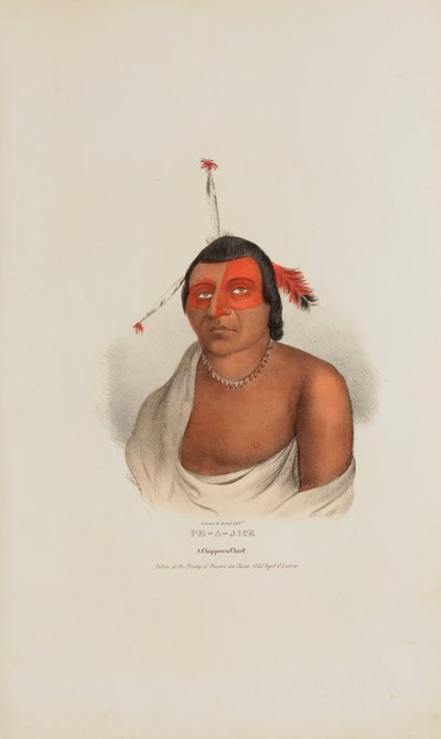 PE-A-JICK; Un capo Chippewa, da Il portafoglio degli aborigeni da Lewis, James Otto
