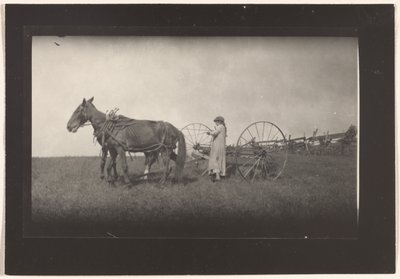 [Scena di fattoria, Massachusetts] da Lewis W. Hine
