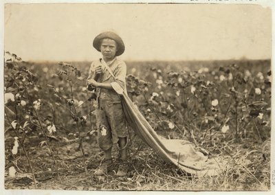 Warren Frakes di 6 anni con circa 20 libbre di cotone nella sua borsa a Comanche County, Oklahoma, 1916 da Lewis Wickes Hine