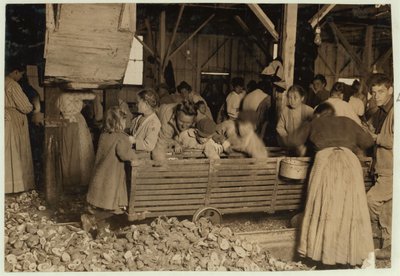 Bill May, 5 anni, che guadagna 15 centesimi al giorno, nel capannone di sgusciatura alla Barataria Canning Company, Biloxi, Mississippi, 1911 da Lewis Wickes Hine