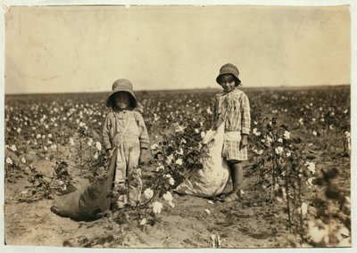 Jewel e Harold Walker, 6 e 5 anni, raccolgono 20-25 libbre di cotone al giorno a Geronimo, Contea di Comanche, Oklahoma, 1916 da Lewis Wickes Hine