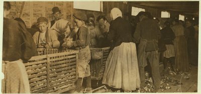 Johnnie, sgusciatore di ostriche di 9 anni osservato dal capo (con pipa) del capannone di sgusciatura a Dunbar, Louisiana, 1911 da Lewis Wickes Hine