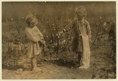 Millie, 4 anni raccoglie 8 libbre di cotone al giorno e Nellie 5, raccoglie 30 in una fattoria vicino a Houston, Texas, 1913 da Lewis Wickes Hine