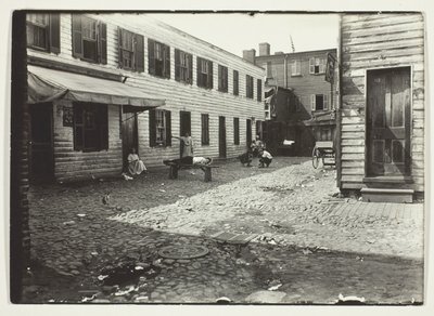 Vicolo dei negri che ospita i bianchi, Washington, D.C. da Lewis Wickes Hine