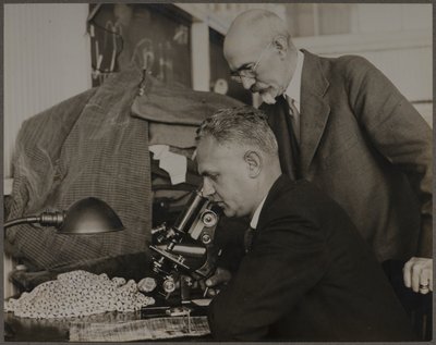 da Lewis Wickes Hine