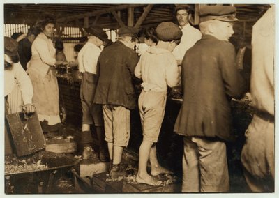 Raccoglitori di gamberetti, incluso il piccolo Max di 8 anni, a Dunbar, Lopez, Dukate Co, Biloxi, Mississippi, 1911 da Lewis Wickes Hine