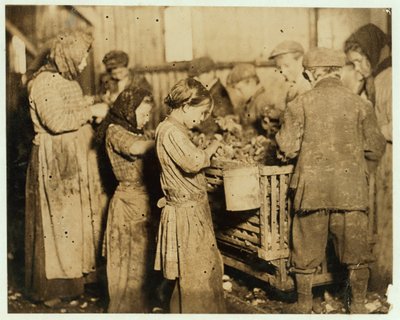 Sgusciatori di circa 10 anni che aprono ostriche nella Varn und Platt Canning Company, Younges Island, South Carolina, 1913 da Lewis Wickes Hine