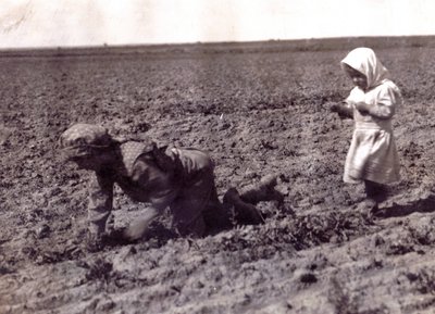 Immagine sconosciuta da Lewis Wickes Hine