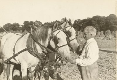 Senza titolo, ca. 1935 da Lewis Wickes Hine