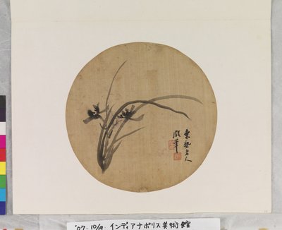 Orchidea in fiore da Li Chen