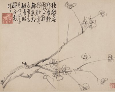 Album di prugne in fiore, 1742 da Li Fangying