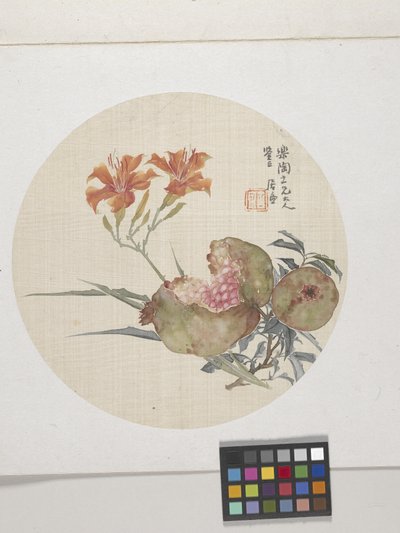 Melograno e giglio diurno, circa 1850-1904 da Lian Ju