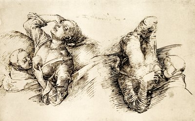 Studi di una donna che dorme da Liberale da Verona