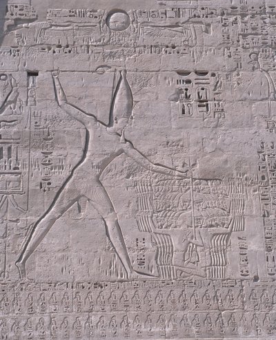 Incisioni sul muro di un tempio, Medinet Habu, Luxor, Egitto da Unbekannt Unbekannt