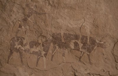 Bovini e figure umane, pittura rupestre, Oued in Djeran, vicino a Djanet, Tassili n