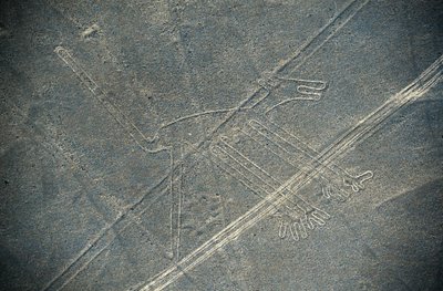 Cane, linee di Nazca, Nazca, Perù, Civiltà Nazca (foto) da Unbekannt Unbekannt