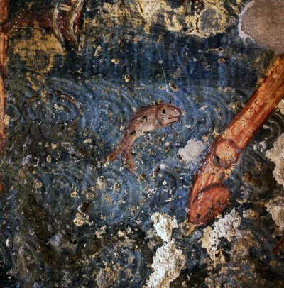 Pesce, (dettaglio) di affresco nel monastero di Agios Georgios, Diavaide, Creta, Grecia da Unbekannt Unbekannt