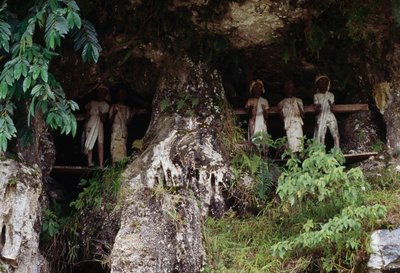 Nicchie funerarie con figure mortuarie Tau Tau, villaggio Marrante, Tana Toraja, isola di Sulawesi, Indonesia da Unbekannt Unbekannt