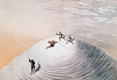 John MacGregor sulla cima del Monte Bianco, illustrazione da 
