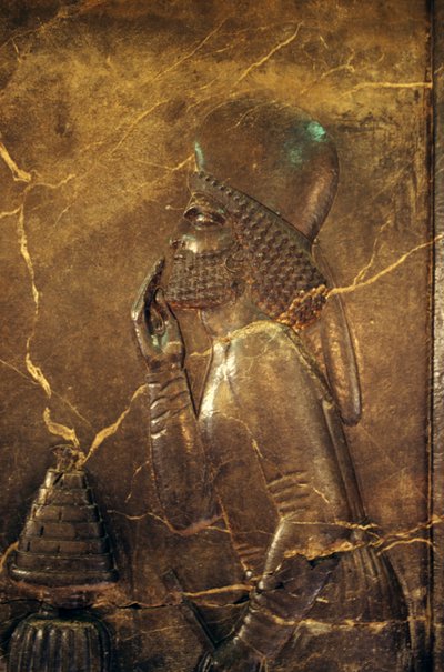 Funzionario dei Medi che rende omaggio al re Dario I, ca 515 a.C., rilievo dal Tesoro di Persepoli, Iran da Unbekannt Unbekannt