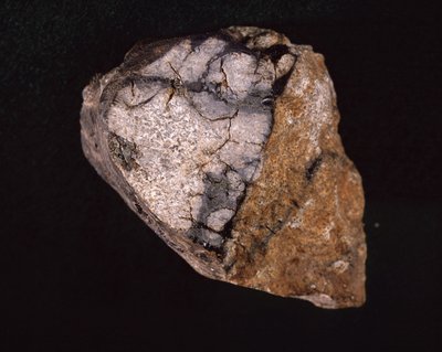 Meteorite trovata in India nel 1875 - Museo di Storia Naturale, Parigi da Unbekannt Unbekannt