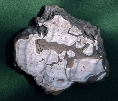 Meteorite, periodo sconosciuto - Museo di Storia Naturale, Parigi da Unbekannt Unbekannt