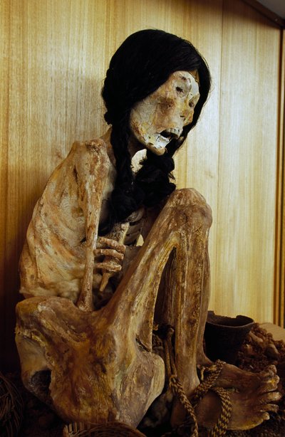 Mummia conosciuta come Miss Cile, da San Pedro de Atacama, Cile, 500 a.C. da Unbekannt Unbekannt