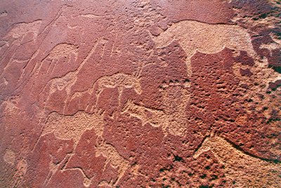 Namibia, Damaraland Wilderness Area, Twyfelfontein, Monti Brandberg, incisioni rupestri dell