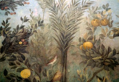 Albero di melograno, dettaglio da un affresco raffigurante un giardino con alberi da frutto e uccelli, dalla Casa di Livia sul Palatino, Roma, Italia. Civiltà romana da Unbekannt Unbekannt