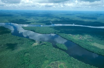 Venezuela, Guayana, Stato di Amazonas, fiume Orinoco, vista aerea da Unbekannt Unbekannt