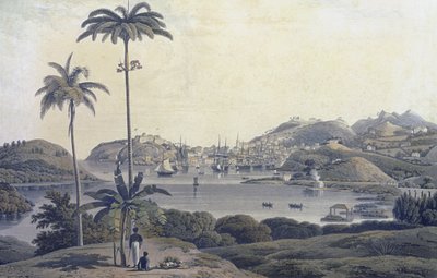 Veduta della città di St. George sull