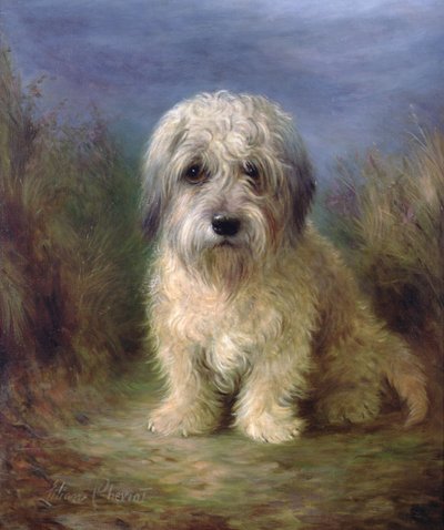 Dandie Dinmont Terrier da Lilian Cheviot