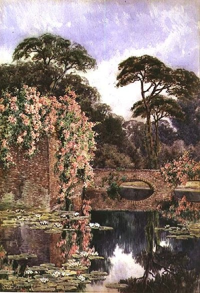 Un vecchio muro e giardino d