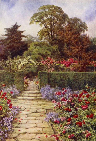 Il sentiero delle rose da Lilian Stannard