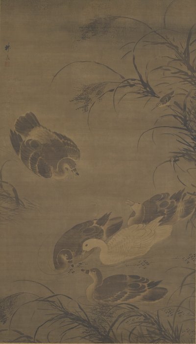 Oche Nuotatrici, Dinastia Ming, XV secolo da Lin Liang