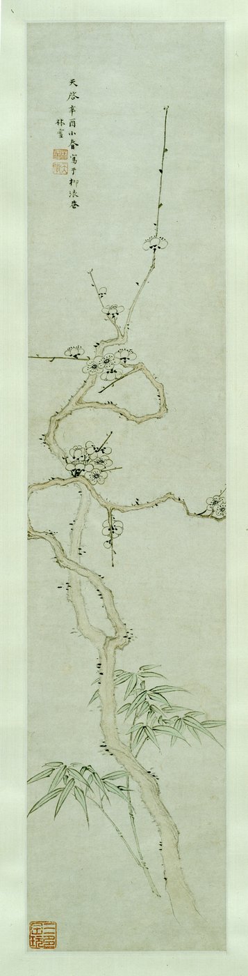 Prunus e bambù da Lin Xue