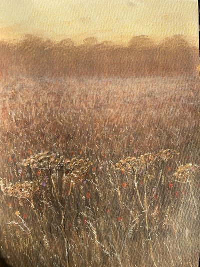 Campo di fagioli al crepuscolo da Lincoln Seligman