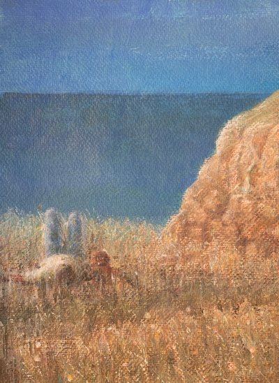 Sentiero costiero da Lincoln Seligman