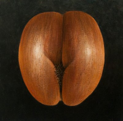 Coco de Mer, 2010 da Lincoln Seligman