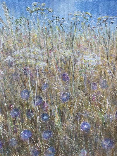 Fiordaliso 1 da Lincoln Seligman